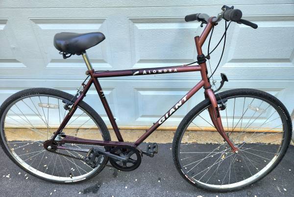 Alondra Giant 1995