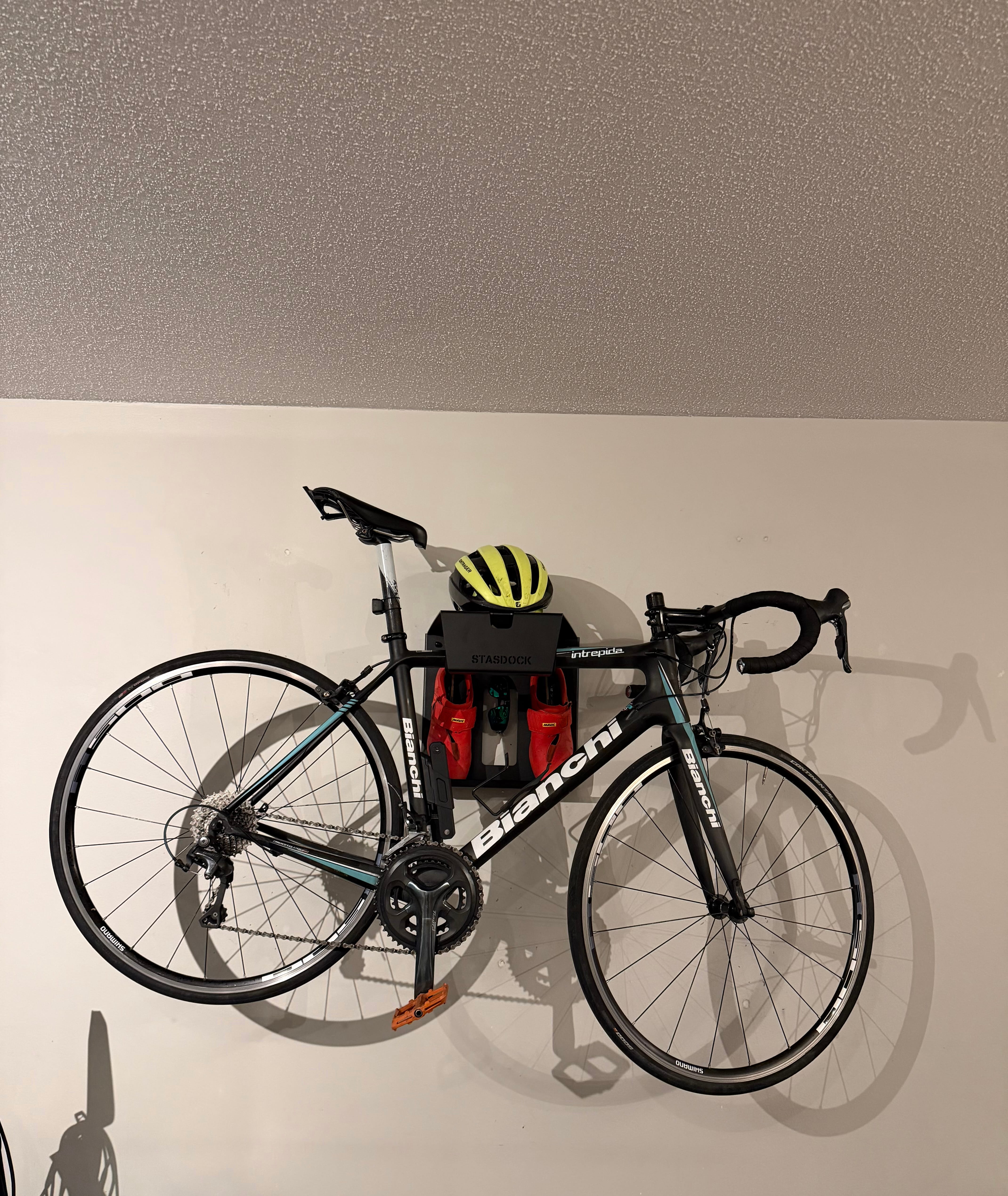 RECOVERED: Bianchi Intrepida