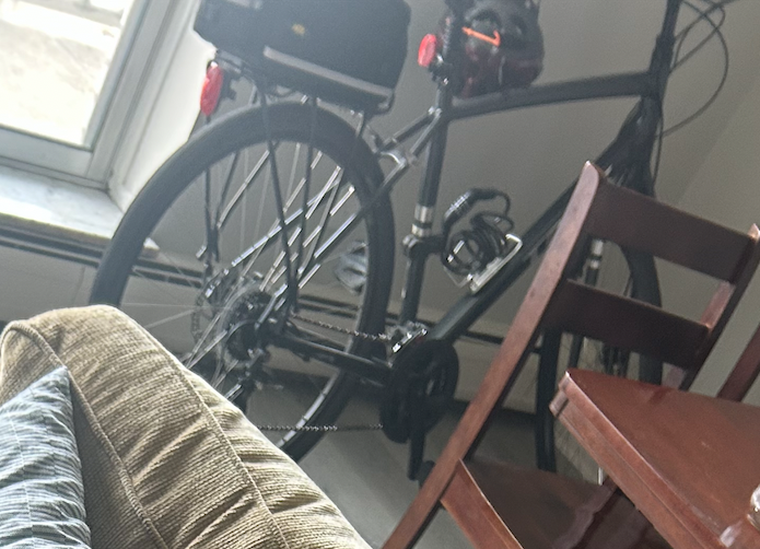 Trek Verve 2