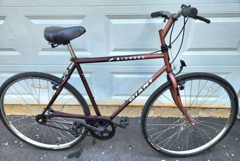 Alondra Giant 1995