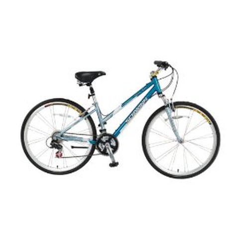 Schwinn 700C