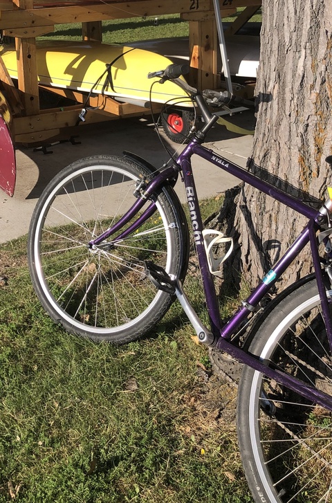 Bianchi Nyala