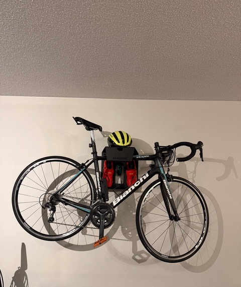RECOVERED: Bianchi Intrepida